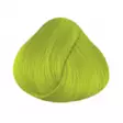 Hiusväri Fluorescent Lime - Hiusvärit - LR50 - 1