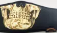 Maski midas gold skull pääkallo facemask - Maskit - MASKIK40 - 5