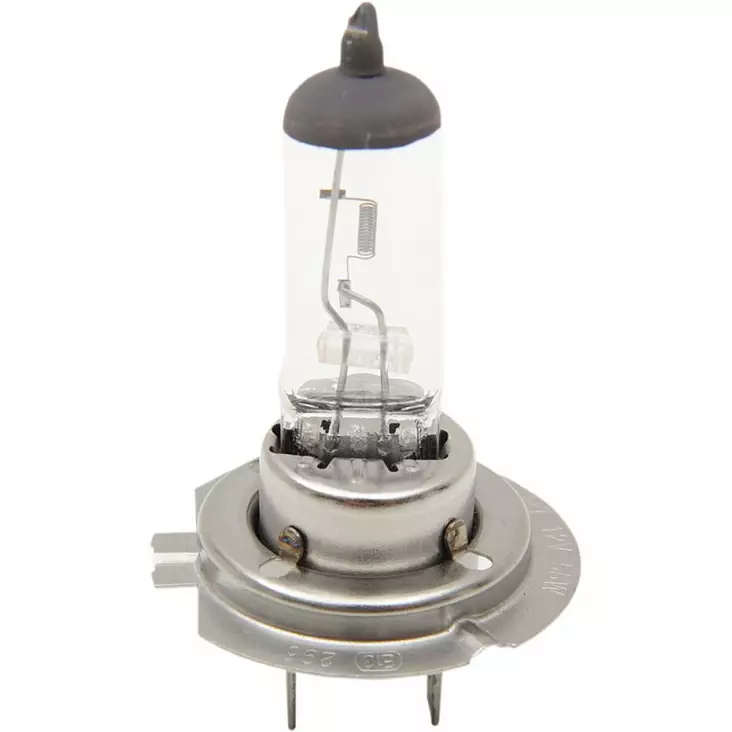 HALOGEN HEADLIGHT BULB H7 55W CLEAR - Tuulilasit ja etumaskit - 20010380 - 1