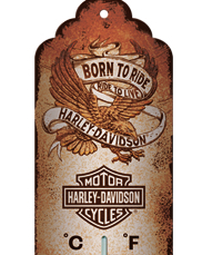 Lämpömittari H-D 28x6,5cm - Lämpömittari - PELT400 - 1