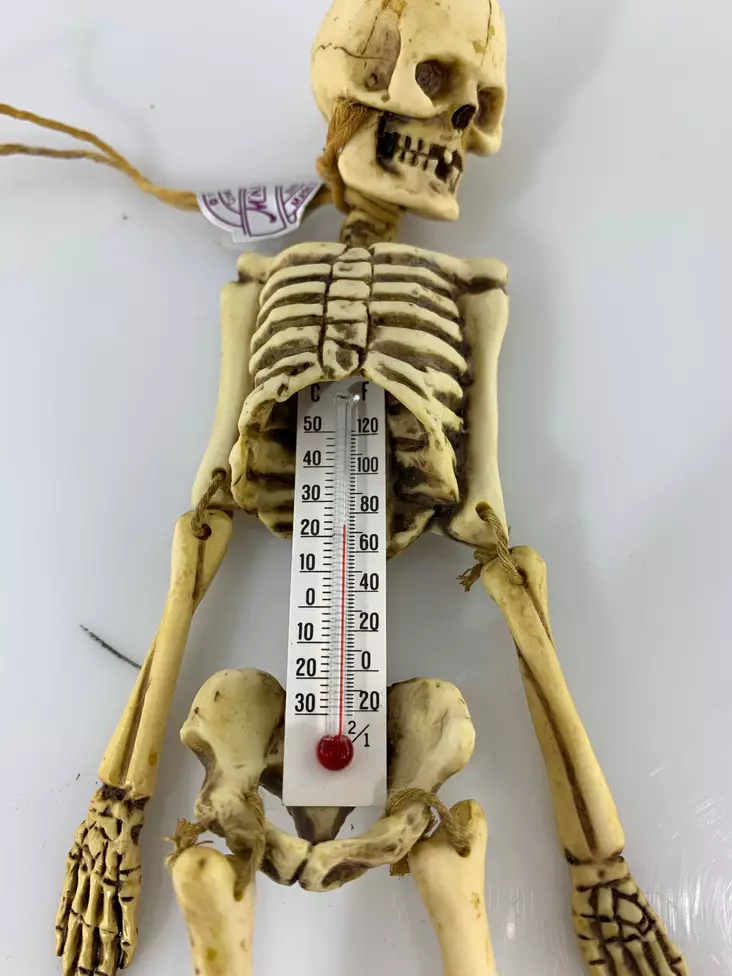 Lämpömittari luuranko 25-cm - Kallot, Halloweenrekvisiitta - HOR160 - 1