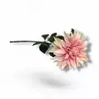 Dahlia, tekokukka 75 cm - Tekokukat - KUKKA1 - 4