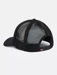 Dickies Lippis, Hanston Trucker Cap - Lippikset - DIC71 - 2