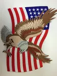 Kangasmerkki, kotka & USA:n lippu - Kangasmerkit - K1031 - 1