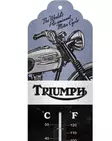 Lämpömittari Triumph - Taulut, kehykset - PELT211 - 2