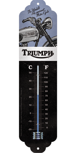 Lämpömittari Triumph - Taulut, kehykset - PELT211 - 1