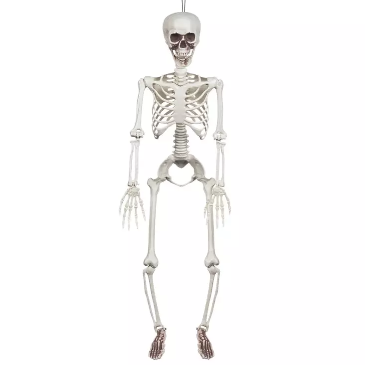 Luuranko 91 cm - Kallot, Halloweenrekvisiitta - HOR451 - 1