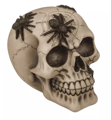 Säästökallo Spider Skull - Kallot, Halloweenrekvisiitta - HOR732 - 2