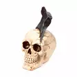 Kirveskallo, 10 x 18 x 15 cm - Kallot, Halloweenrekvisiitta - HOR752 - 3