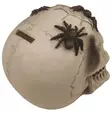 Säästökallo Spider Skull - Kallot, Halloweenrekvisiitta - HOR732 - 5