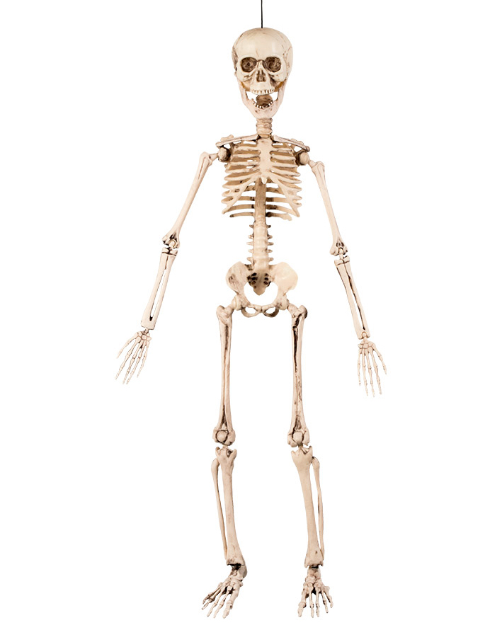 Luuranko 50cm luunvärinen muovi - Kallot, Halloweenrekvisiitta - HOR352 - 1