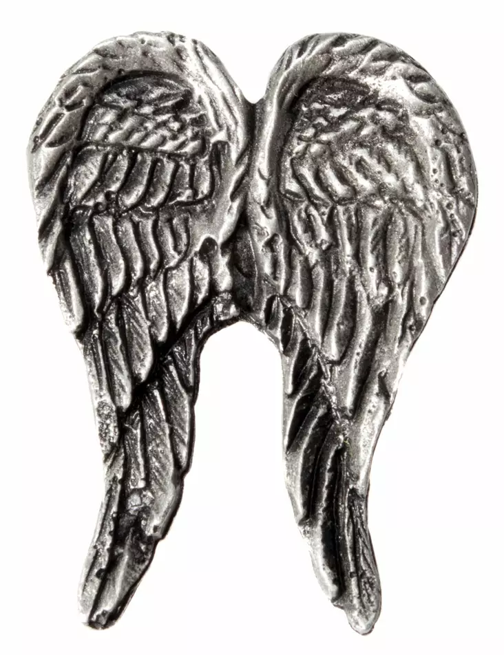 Pinssi, Hot Leathers, Wings - Pinssit - PNS32 - 1