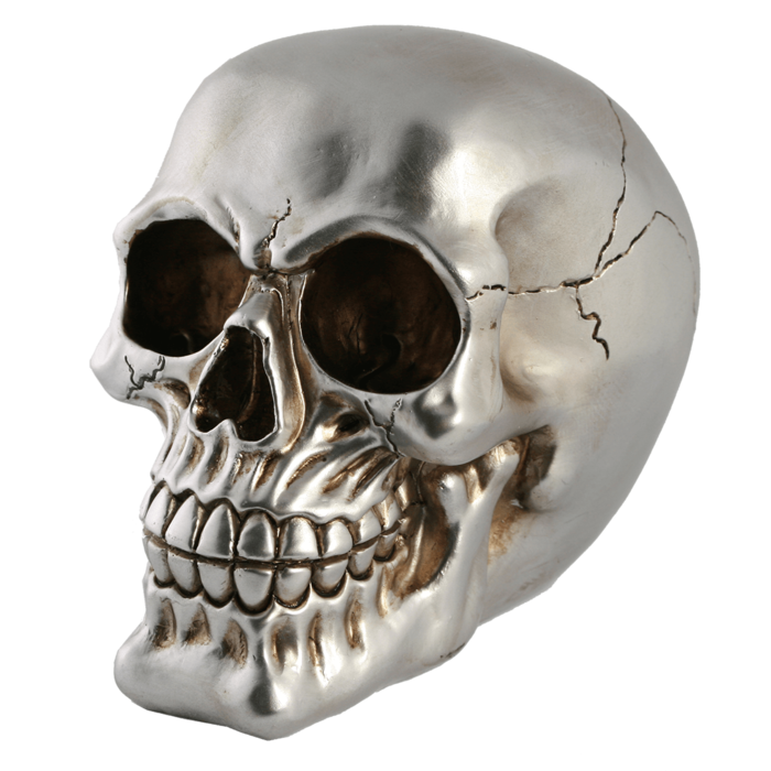 Säästökallo, lukollinen, hopea - Säästölippaat - PRT432 - 2