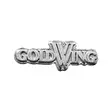 Pinssi Gold Wing 32mm valettu pinssi - Pinssit - PNS93 - 2