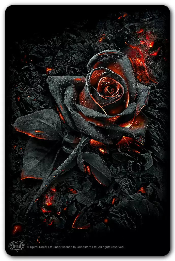 Burnt Rose metallikortti, Spiral - Seinälle - SPI253 - 1