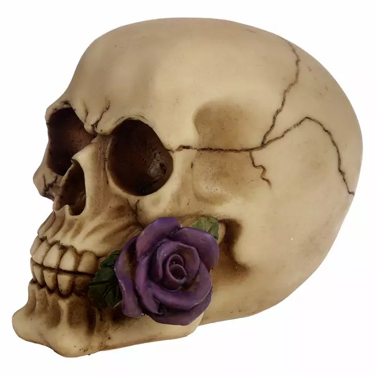 Pääkallo Purple Rose - Kallot, Halloweenrekvisiitta - HOR653 - 1