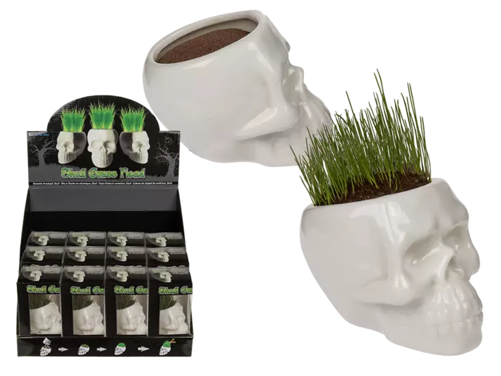 Pääkallo ruohon kasvatus - Muu sälä - PRT773 - 1