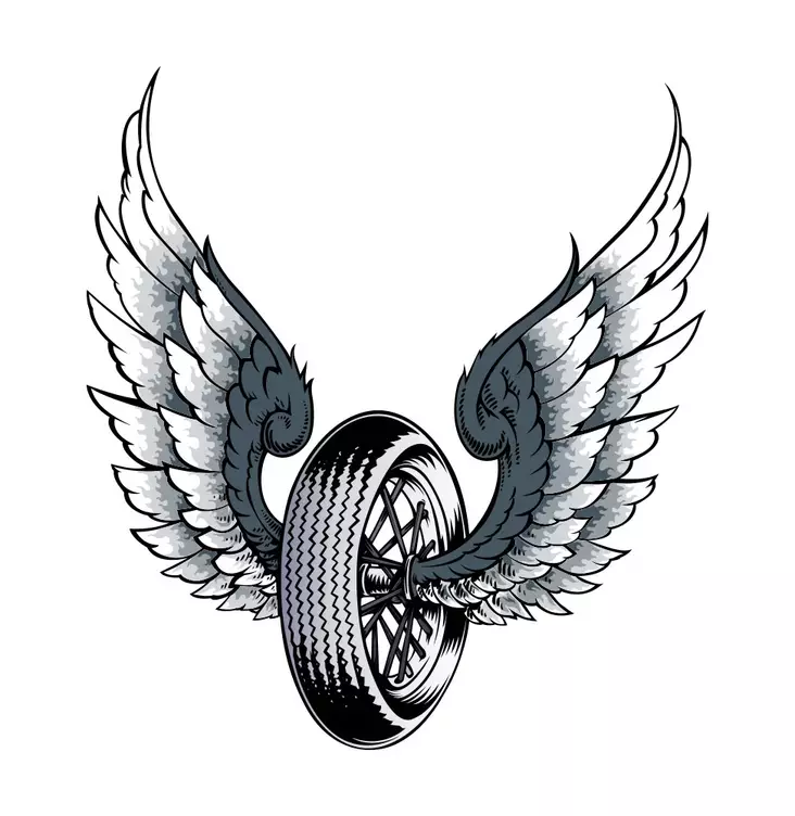 Tarra Wing Tire Grey - Tarrat - TAR353 - 1