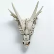 Dragon Skull metallikoristein - Kallot, Halloweenrekvisiitta - HOR424 - 3