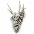Dragon Skull metallikoristein - Kallot, Halloweenrekvisiitta - HOR424 - 1