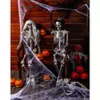 Seitti 500 g ja 25 hämähäkkiä, halloween - Kallot, Halloweenrekvisiitta - HOR294 - 7