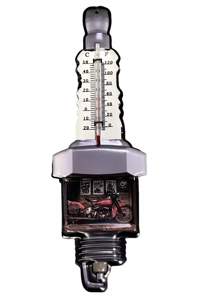 Lämpömittari The Smith's - Taulut, kehykset - PELT374 - 1