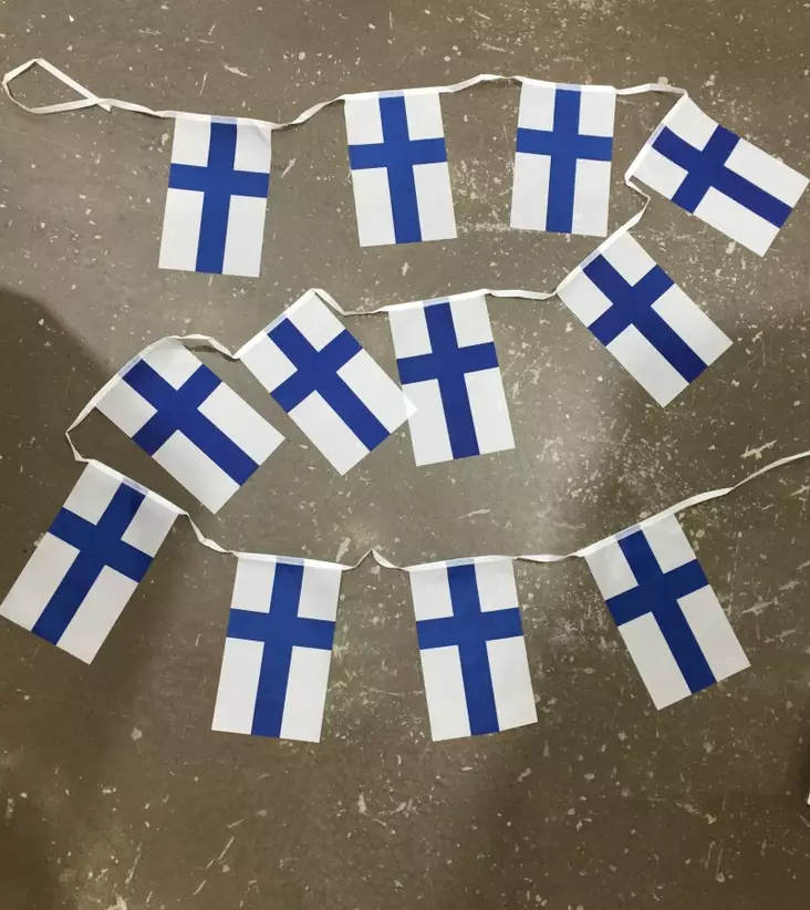 Lippunauha, Suomi, 13x22 cm - Liput - PRT854 - 1