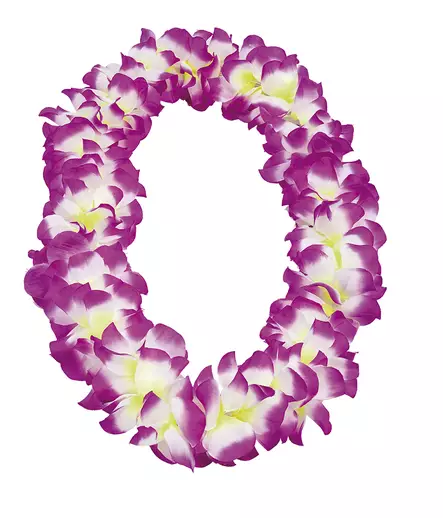 Kukkaköynnös Lei, lila / valkoinen - Halloween, naamiaiset - PRT1345 - 1