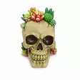 Mehikasvikallo,11 x 14 x 14,5 cm - Kallot, Halloweenrekvisiitta - HOR755 - 1