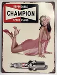 Peltikyltti Champion spark plugs - Taulut, kehykset - PELT255 - 1