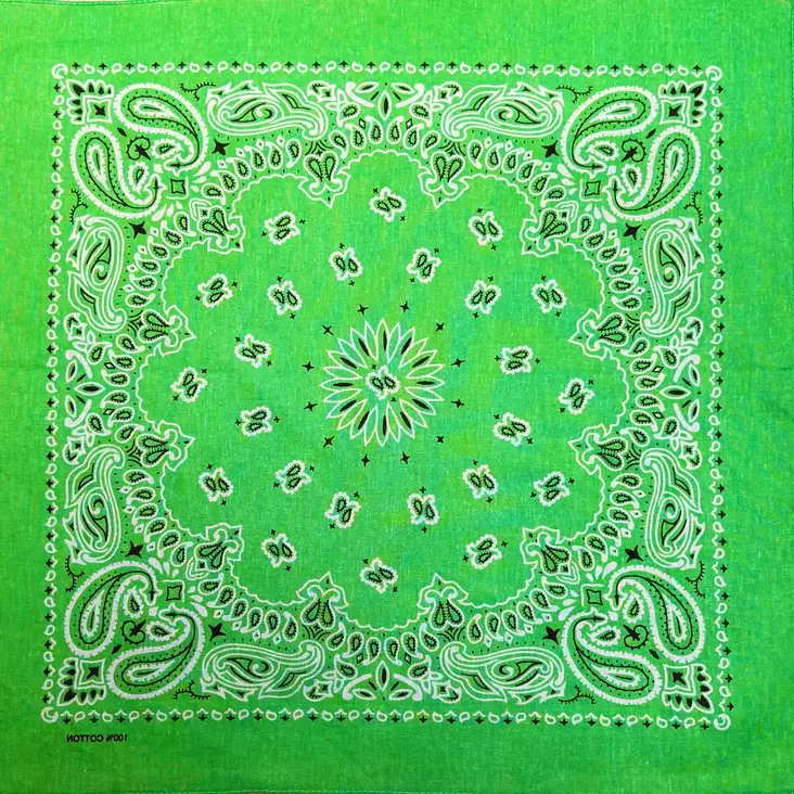 Huivi, vihreä kashmir-kuvio - Huivit - HU525 - 1