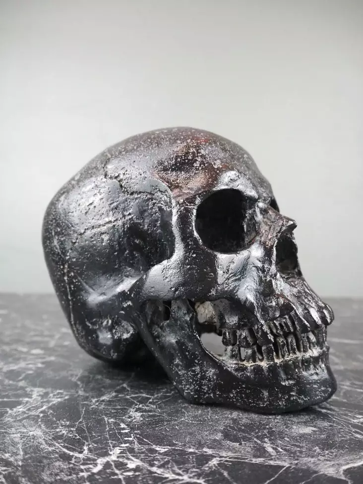 Kallo mustaa kiveä - Kallot, Halloweenrekvisiitta - HOR705 - 1