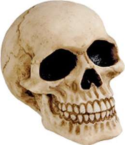 Koristekallo, Skull 7 cm - Kallot, Halloweenrekvisiitta - PRT455 - 1
