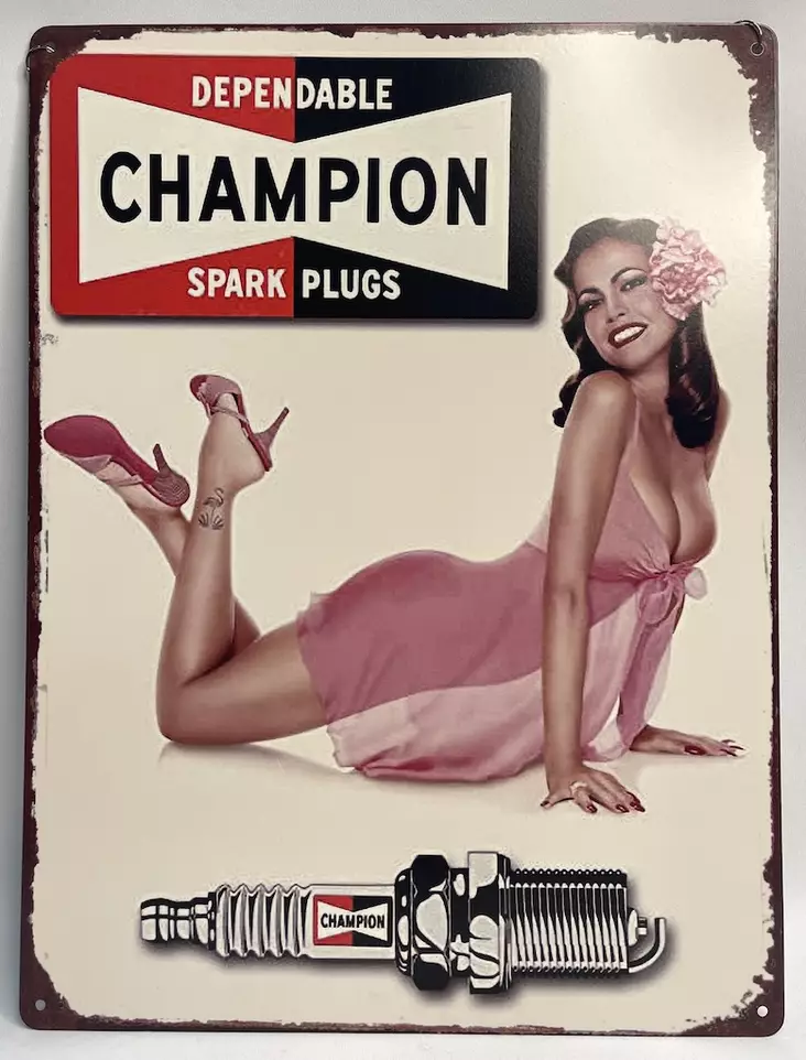 Peltikyltti Champion spark plugs - Taulut, kehykset - PELT255 - 1