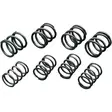 HIGH-LIFT VALVE SPRINGS - Tuulilasit ja etumaskit - DS199736 - 1