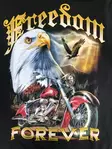 Huppari Rock Eagle, Freedom Forever - Hupparit - CU596 - 3