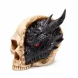 Kallo Black Dragon 12x16x14 cm - Kallot, Halloweenrekvisiitta - HOR706 - 8