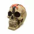 Kallo Valuvat Aivot, 10,5 x 12 x 15,5 cm - Kallot, Halloweenrekvisiitta - HOR756 - 1