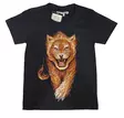 Lasten Tpaita Flaming Lion - T-paidat - KID536 - 1
