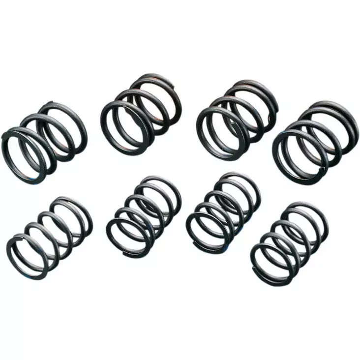HIGH-LIFT VALVE SPRINGS - Tuulilasit ja etumaskit - DS199736 - 1