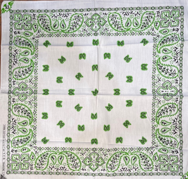 Huivi,Valkoinen vihreällä kasmir-kuvioll - Huivit - HU506 - 1