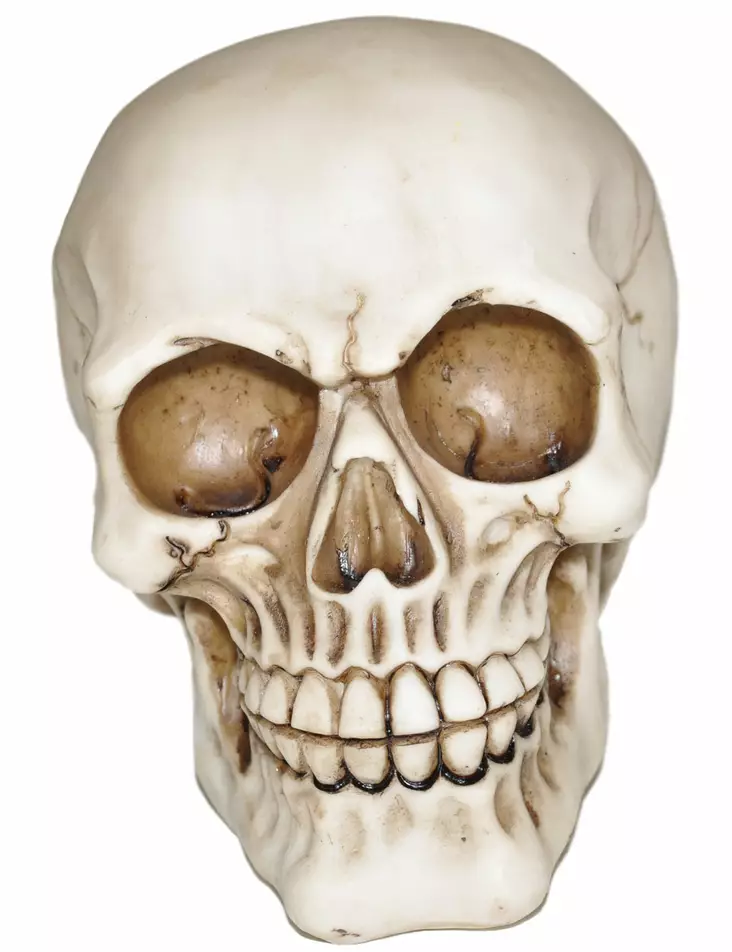 Pääkallo, 15cm - Kallot, Halloweenrekvisiitta - HOR96 - 1