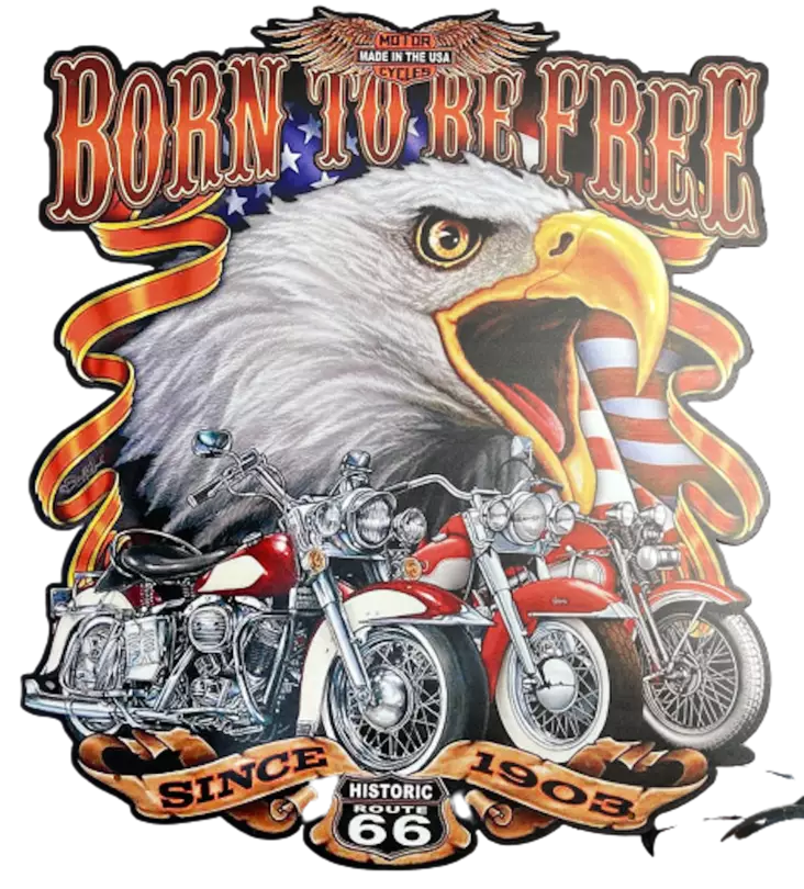 Peltikyltti Born to the FREE route 66 - Taulut, kehykset - PELT146 - 1