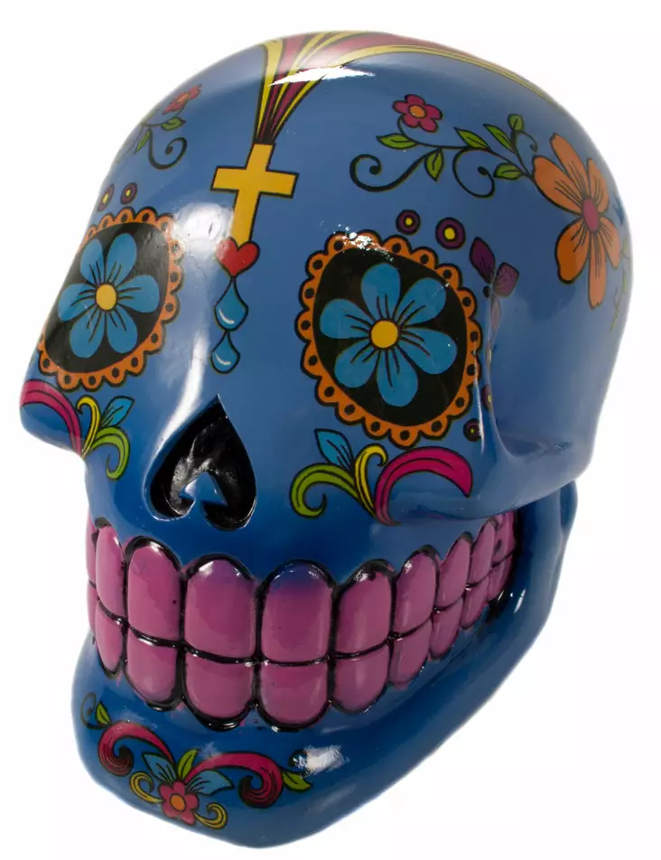 S=C3=A4=C3=A4st=C3=B6kallo-Coloured Skull-sininen-PRT236 - Säästölippaat - PRT236 - 1