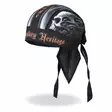 Headwrap,Hot Leathers, Skull Face - Headwrapit - HW177 - 1
