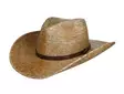 Stetson Western Mexican Palm - Lippikset - STHAT47 - 1