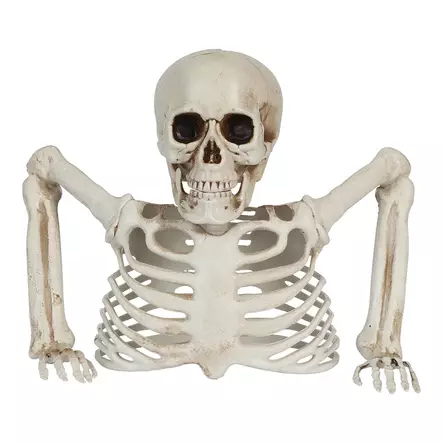 Maasta nouseva luuranko - Kallot, Halloweenrekvisiitta - HOR738 - 1