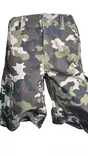 Dickies Shortsit Eagle Bend - Shortsit - DIC88 - 11