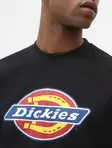 Dickies T-paita musta, LOGO - T-paidat - DIC8 - 4