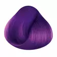 Hiusväri Cosmic Purple - Hiusvärit - LR58 - 2